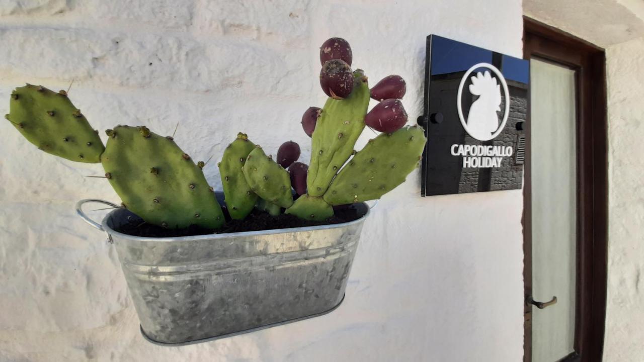 Capodigallo Holiday Alberobello Esterno foto